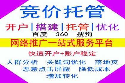 某电商平台的SEM运营实战与效果分析